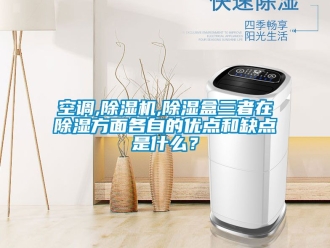 行業(yè)新聞空調(diào),除濕機(jī),除濕盒三者在除濕方面各自的優(yōu)點(diǎn)和缺點(diǎn)是什么？