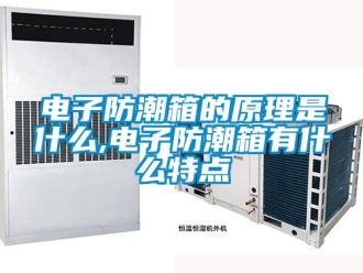 常見問題電子防潮箱的原理是什么,電子防潮箱有什么特點