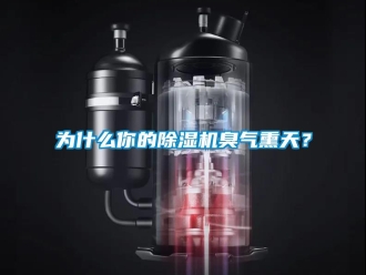 知識(shí)百科為什么你的除濕機(jī)臭氣熏天？