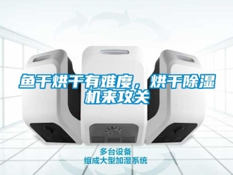 行業新聞魚干烘干有難度，烘干除濕機來攻關