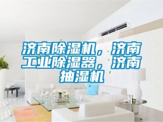 常見問題濟(jì)南除濕機(jī)，濟(jì)南工業(yè)除濕器，濟(jì)南抽濕機(jī)