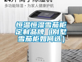 知識百科恒溫恒濕雪茄柜定制品牌（別墅雪茄柜如何選）