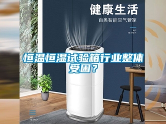 知識百科恒溫恒濕試驗箱行業整體受困？