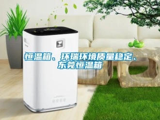 知識百科恒溫箱、環(huán)瑞環(huán)境質(zhì)量穩(wěn)定、東莞恒溫箱