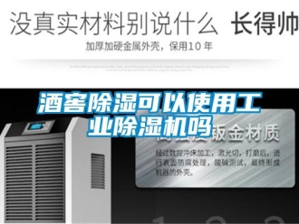 常見問題酒窖除濕可以使用工業除濕機嗎