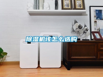 行業(yè)新聞除濕機(jī)該怎么選購(gòu)