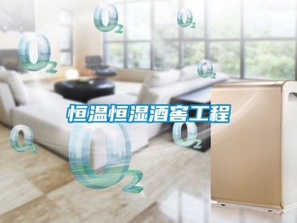 知識百科恒溫恒濕酒窖工程