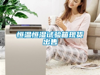 知識百科恒溫恒濕試驗箱現貨出售