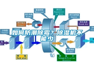 常見問題如何防潮除霉？除濕機不能少