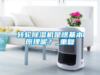 常見問題轉輪除濕機是啥基本原理呢？_重復