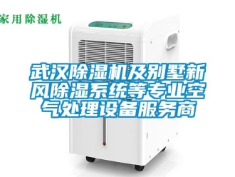 常見(jiàn)問(wèn)題武漢除濕機(jī)及別墅新風(fēng)除濕系統(tǒng)等專業(yè)空氣處理設(shè)備服務(wù)商