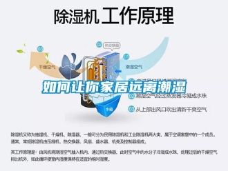 常見問題如何讓你家居遠(yuǎn)離潮濕