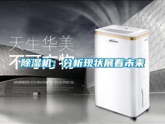 常見問題除濕機：分析現狀展看未來