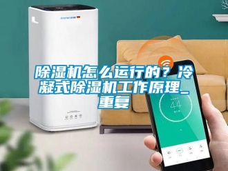 行業(yè)新聞除濕機(jī)怎么運(yùn)行的？冷凝式除濕機(jī)工作原理_重復(fù)