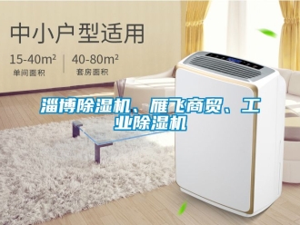 常見問題淄博除濕機、雁飛商貿(mào)、工業(yè)除濕機