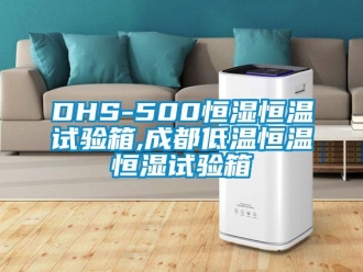 常見問題DHS-500恒濕恒溫試驗箱,成都低溫恒溫恒濕試驗箱