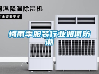 常見(jiàn)問(wèn)題梅雨季服裝行業(yè)如何防潮