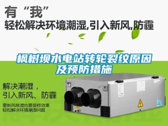 常見問題楓樹壩水電站轉輪裂紋原因及預防措施
