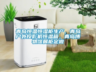 知識(shí)百科青島恒溫恒濕柜生產(chǎn)，青島戶(hù)外投影機(jī)恒溫箱，青島博物館展柜定做