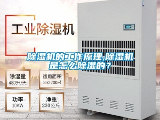 常見問題除濕機的工作原理,除濕機是怎么除濕的？