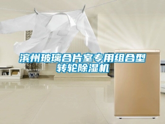 常見問題濱州玻璃合片室專用組合型轉(zhuǎn)輪除濕機(jī)