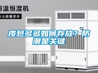 常見問題皮包多多如何存放？防潮是關鍵