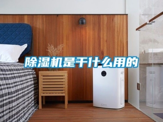 行業(yè)新聞除濕機是干什么用的