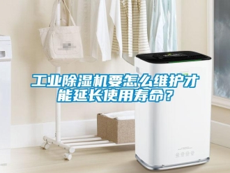 常見問題工業除濕機要怎么維護才能延長使用壽命？