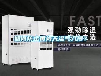 常見問題如何防止黃梅天濕氣入侵？