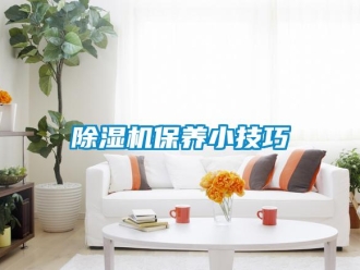 常見問題除濕機保養小技巧