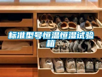 常見問題標準型號恒溫恒濕試驗箱
