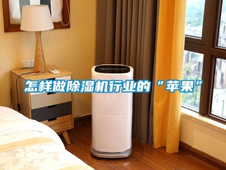 常見問題怎樣做除濕機行業(yè)的“蘋果”