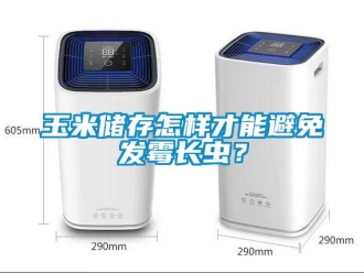 常見問題玉米儲存怎樣才能避免發霉長蟲？